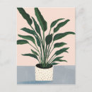 Search for houseplant postcards Leaves