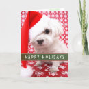 Search for vet christmas cards Cute