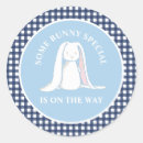 Search for blue and white gingham stickers Baby shower