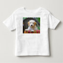 Search for golden doodle clothing Cute