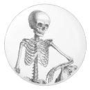 Search for skull knobs and pulls Illustration