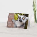 Search for lemur cards Funny