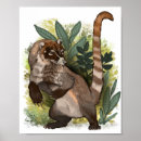 Search for american wildlife posters Nature