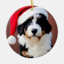 Search for bernedoodle christmas tree decorations Puppy