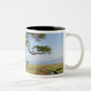Search for acacia mugs Safari