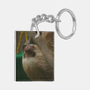 Search for sloth key rings Zoo