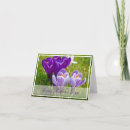 Search for spring crocus cards Floral