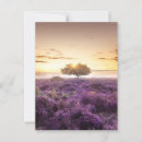 Search for heather postcards Landscape