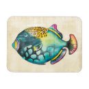 Search for aquarium magnets Blue