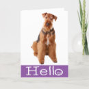 Search for airedale cards Dog