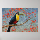 Search for tropical toucan posters Rainforest