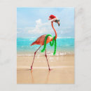 Search for beach christmas invitations Flamingo