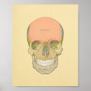 Search for skull painted face posters Illustration