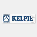 Search for kelpie bumper stickers Breed