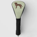 Search for chocolate labrador Brown