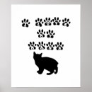 Search for cat breeds posters Kitty