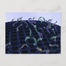 Search for cells postcards Colour