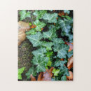 Search for botanical puzzles Leaves