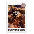 Search for real rectangular magnets Inspirational