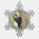 Search for woodpecker christmas tree decorations Red bellied woodpecker