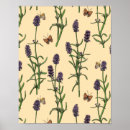 Search for aromatherapy posters Flower
