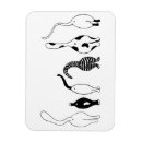 Search for bootie magnets Cat