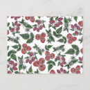 Search for vintage fruit pattern postcards Illustration