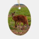 Search for kangaroo christmas tree decorations Nature