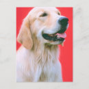 Search for panting postcards Cute