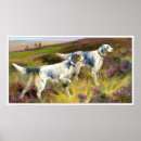 Search for setter posters Canine