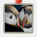 Search for puffin christmas tree decorations Pelagic