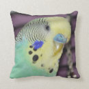 Search for budgie cushions Bird