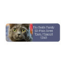 Search for blue cat return address labels Grey