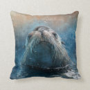 Search for seals photography Nature