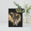 Search for pedigree cards invites Pet