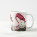 Search for john audubon mugs Birds of america