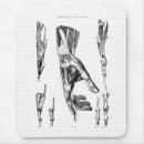 Search for muscles mouse mats Black
