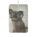 Search for dog car air fresheners Picture