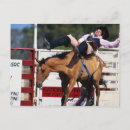 Search for broncos postcards Rodeo