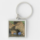 Search for capybara key rings Wildlife