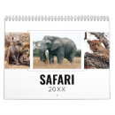 Search for big five photography Safari