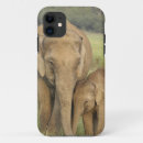 Search for calf iphone cases Wildlife