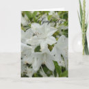 Search for white azalea cards Floral