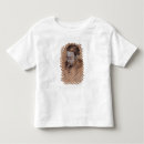 Search for 1879 tshirts Edgar