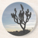 Search for joshua coasters California