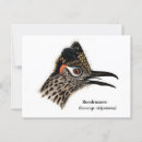 Search for roadrunner postcards Geococcyx californianus