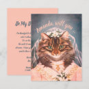 Search for cat proposal Cats
