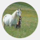 Search for mares stickers Equine