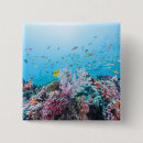 Search for coral reef badges Tropical fish