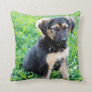 Search for german shepherd cushions Animal